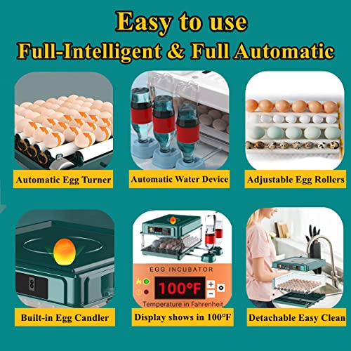 24-60 Eggs Automatic Incubator Y7793