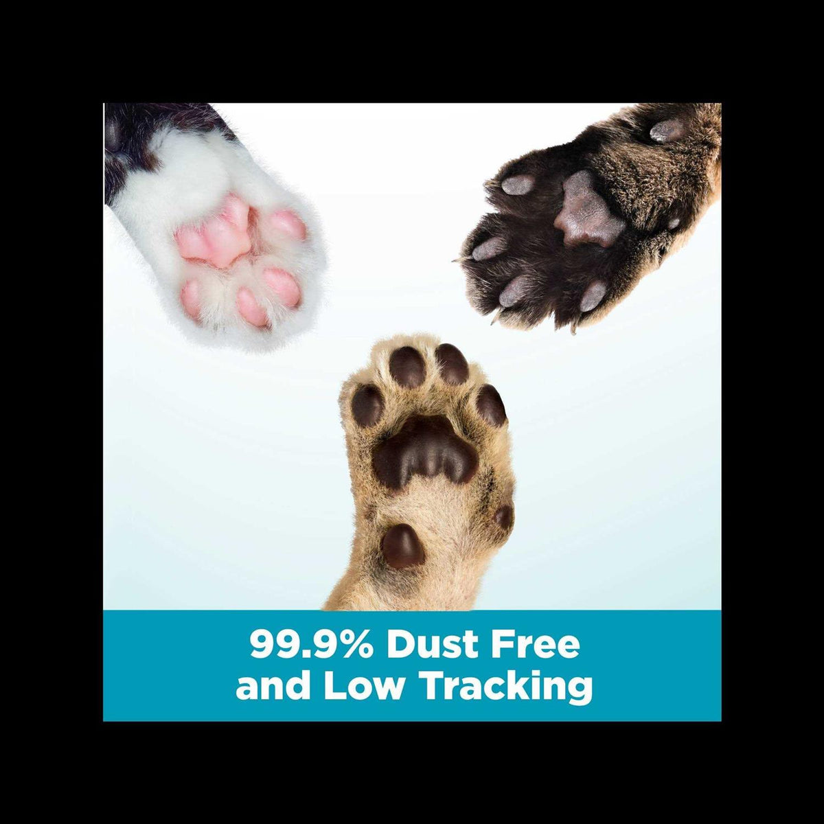 Cloud Control Clumping Multi-Cat Litter D9973