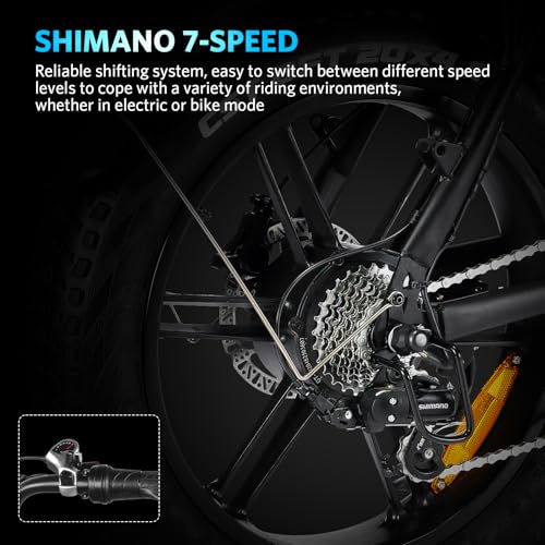 Electric Bike with 20" Fat Tire, 7-Speed Gear, Removable Battery K479710