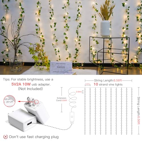 200 LED 6.5ft x 6.5ft Pothos Fairy Curtain Lights with Remote Warm White Y273