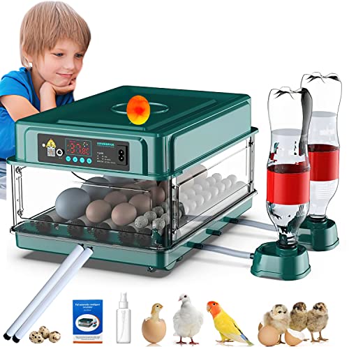 24-60 Eggs Automatic Incubator Y7793