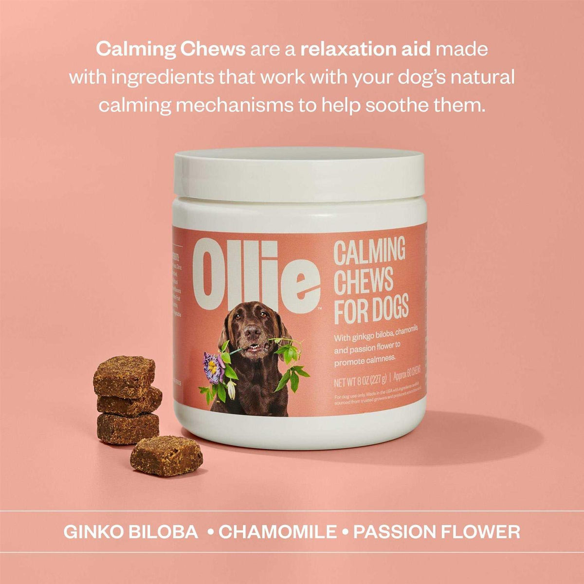 Dog Supplements D56555