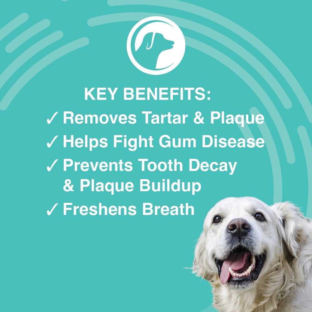 Dental Gel A87633
