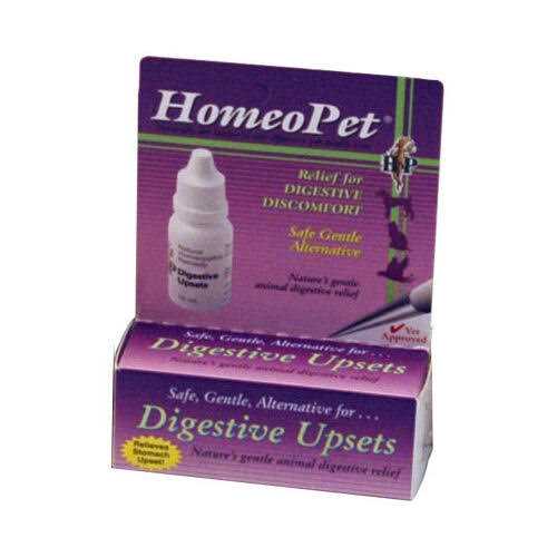 Digestive Upsets Z1213