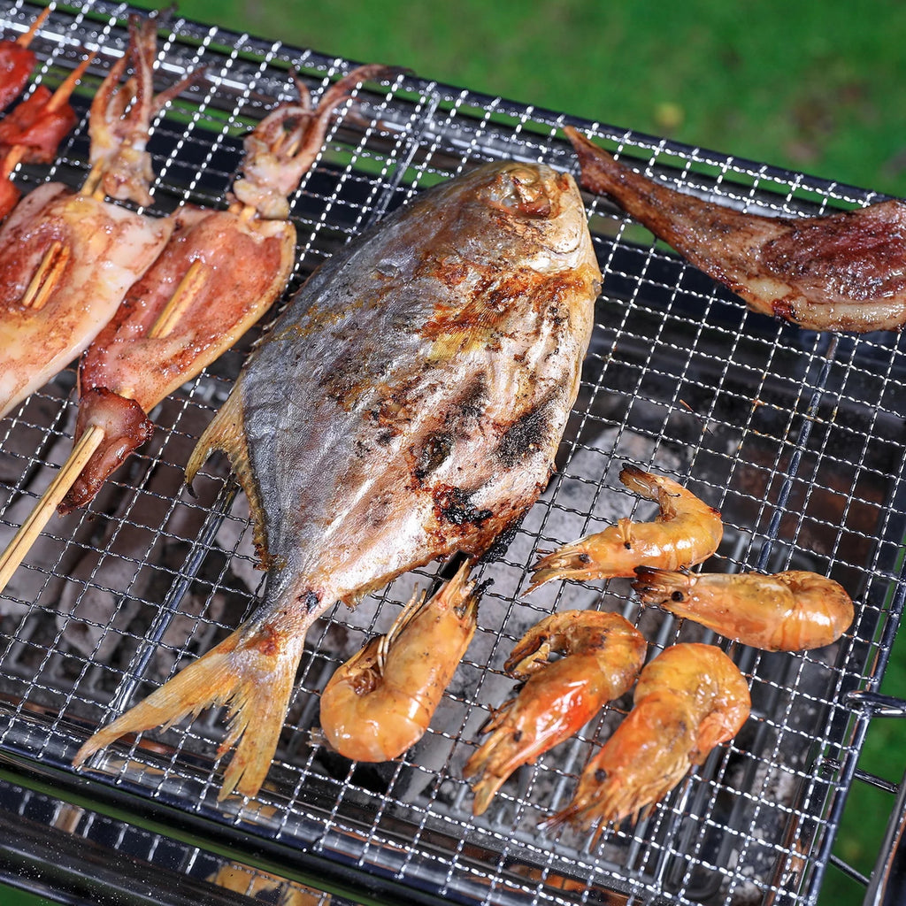Foldable Stainless Steel Charcoal Grill H818669