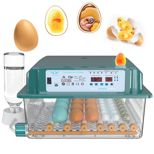 16 Egg Incubator with Automatic Egg Turning and Humidity Control H889