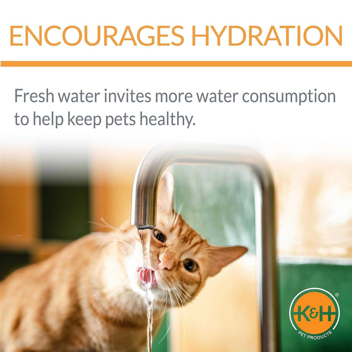 Filtered Water Bowl E5805