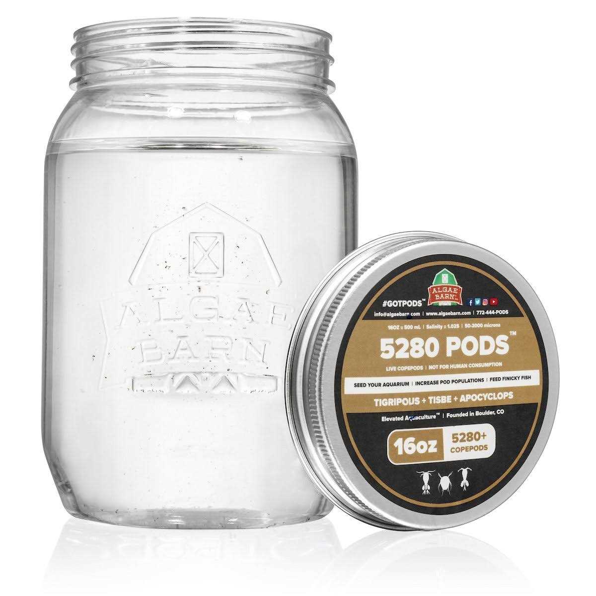 Live Copepods X928629