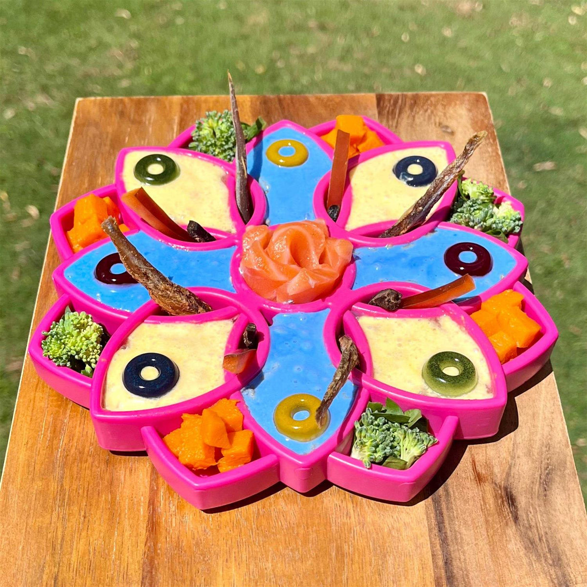 Mandala Design Enrichment Tray for Dogs C507569