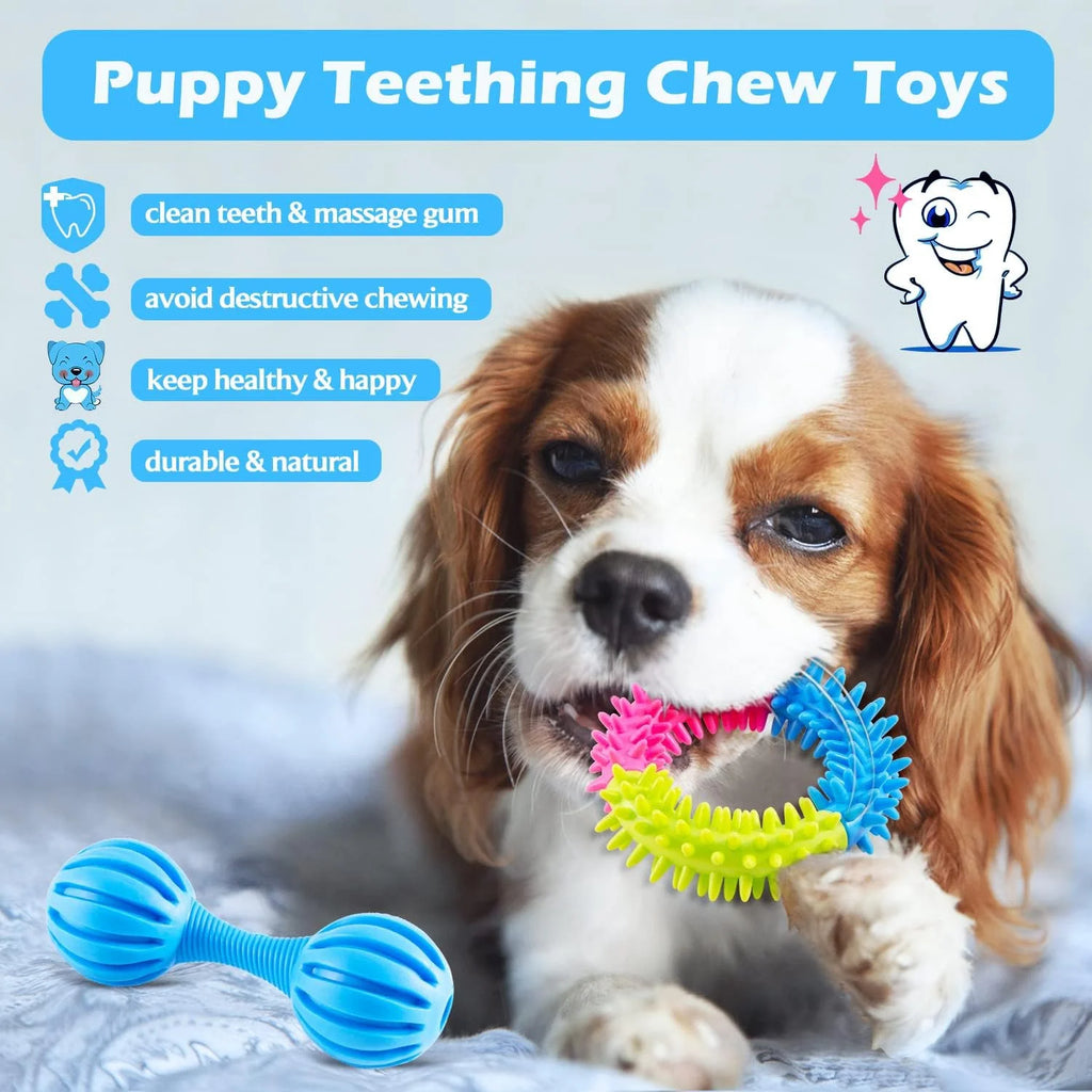 Puppy Teething Chew Toys Pack with Stuffed Squeaky Toys, Dog Ball, Ring Toy, Rope Toy G5347