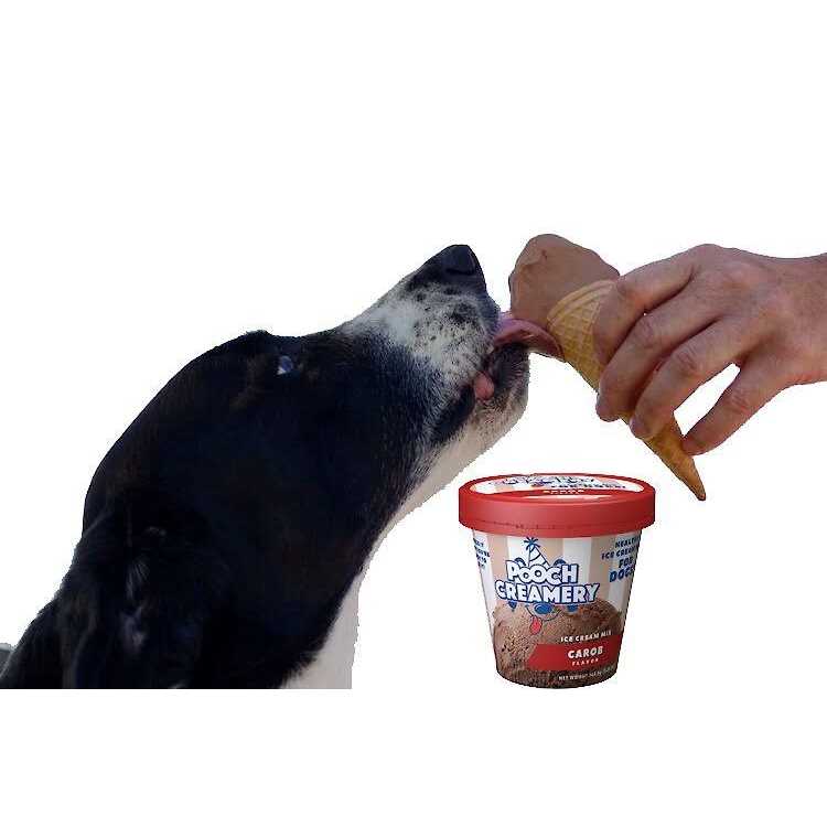 Ice Cream Mix Dog Treats V4438