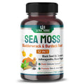 Organic Sea Moss Capsules 12,900mg with Black Seed Oil, Ashwagandha, Burdock Root 150 Count J6992