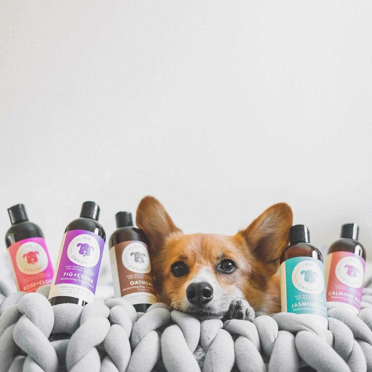 Jasmine & Lily Dog Shampoo L828