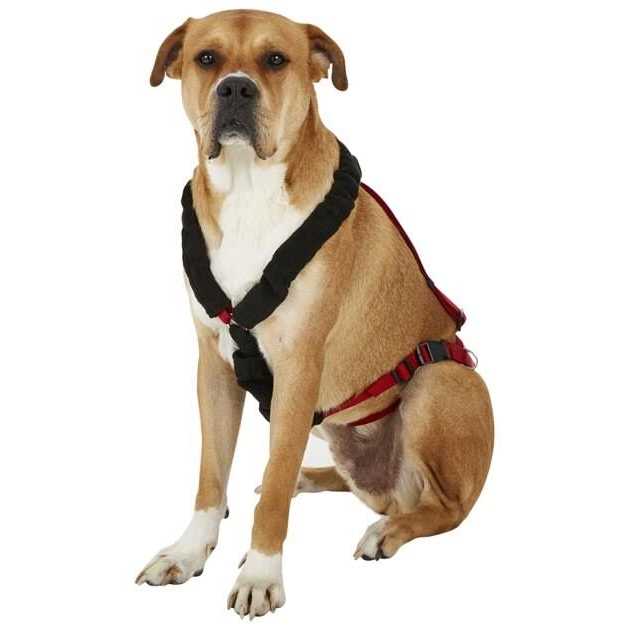 One Harness Z859017