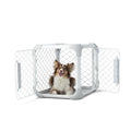 Dog Crate Q17573