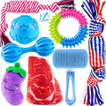 Puppy Teething Chew Toys Pack with Stuffed Squeaky Toys, Dog Ball, Ring Toy, Rope Toy G5347