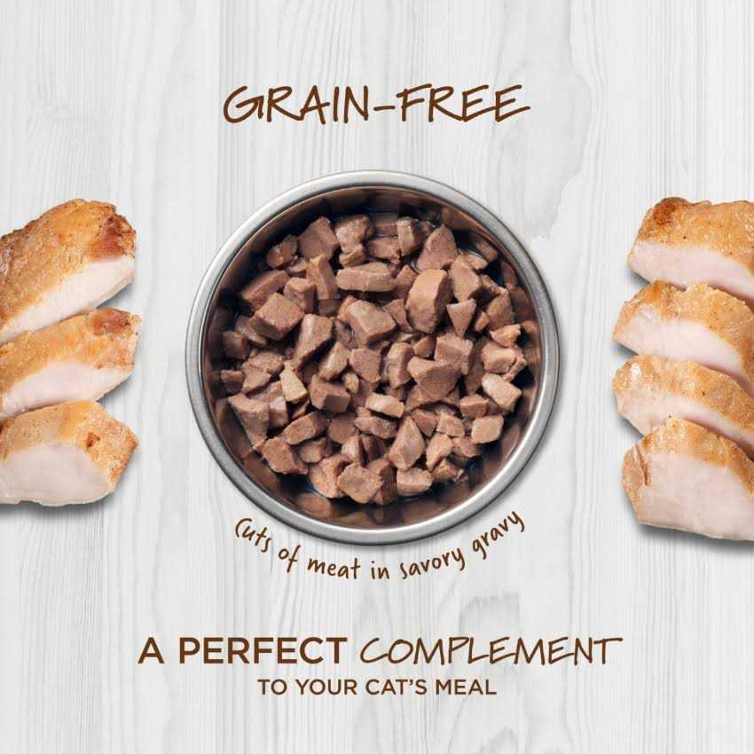 Grain Free Wet Cat Food Topper F55036