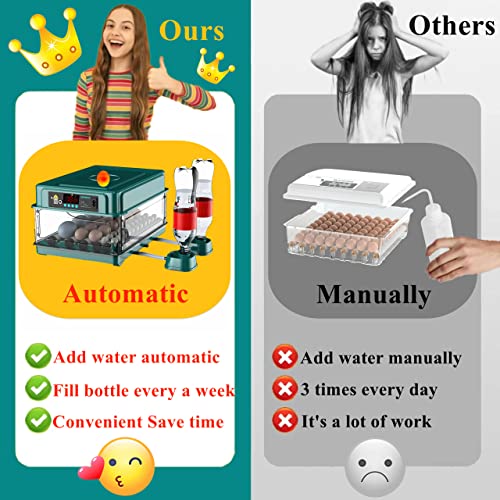 24-60 Eggs Automatic Incubator Y7793