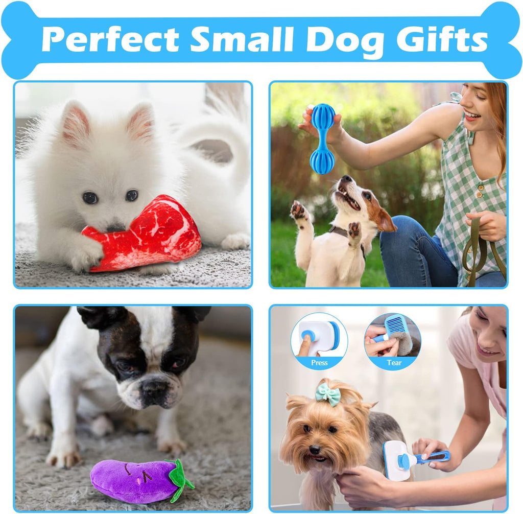 Puppy Teething Chew Toys Pack with Stuffed Squeaky Toys, Dog Ball, Ring Toy, Rope Toy G5347