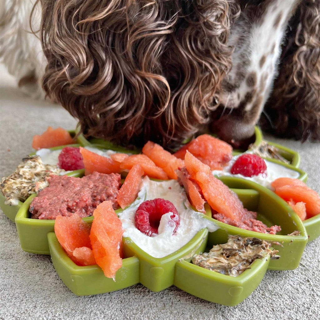 Mandala Design Enrichment Tray for Dogs C507569