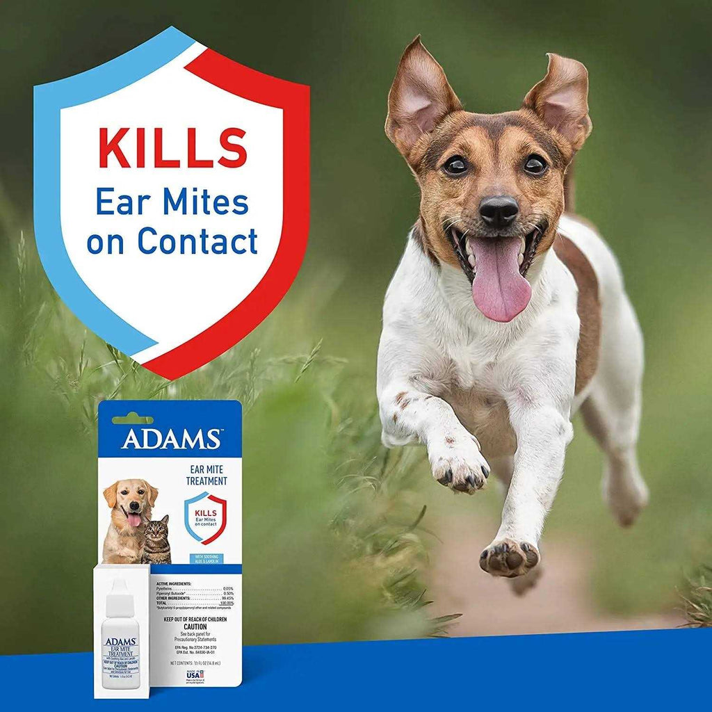 Ear Mite Treatment R36501