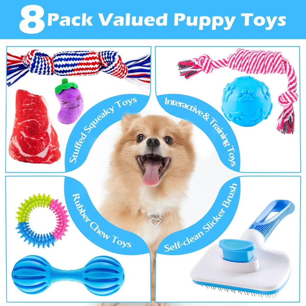Puppy Teething Chew Toys Pack with Stuffed Squeaky Toys, Dog Ball, Ring Toy, Rope Toy G5347