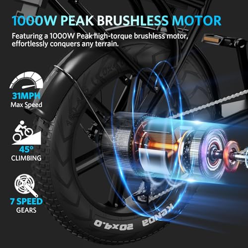 Electric Bike with 20" Fat Tire, 7-Speed Gear, Removable Battery K479710