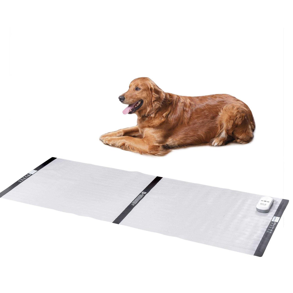 Electronic Training Mat F777035