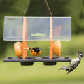 Super Sized Oriole Feeder I33894