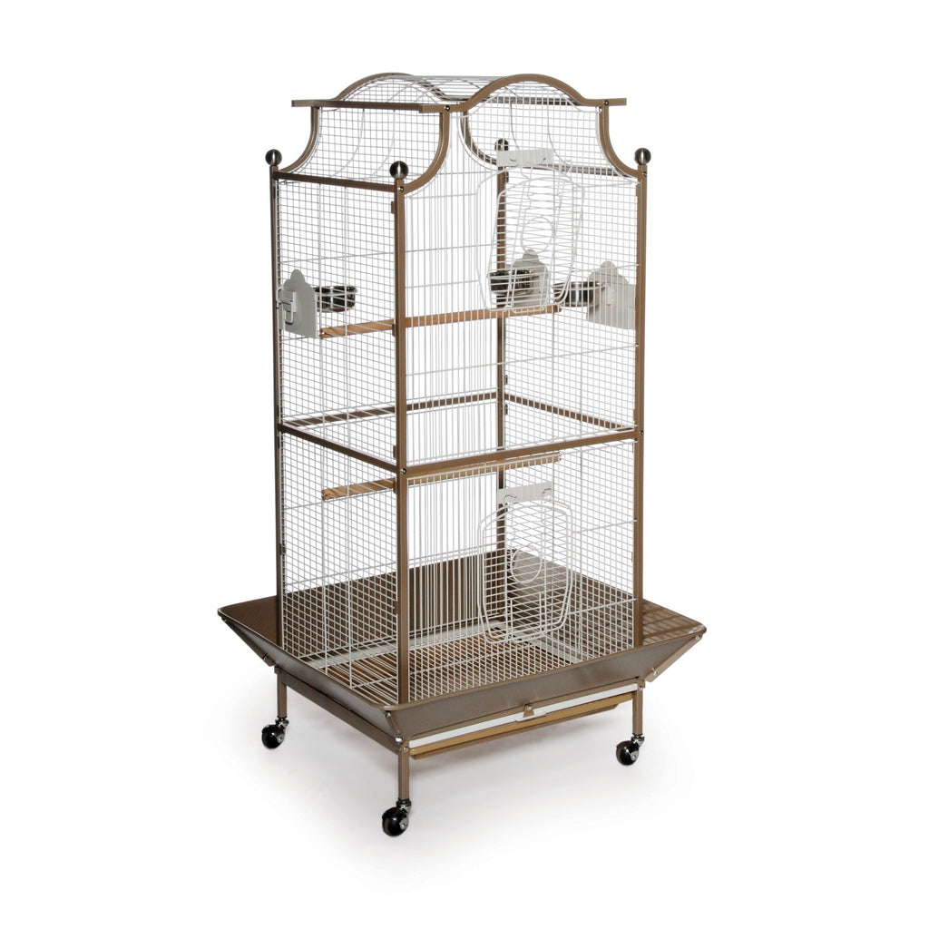 Bird Cage T368