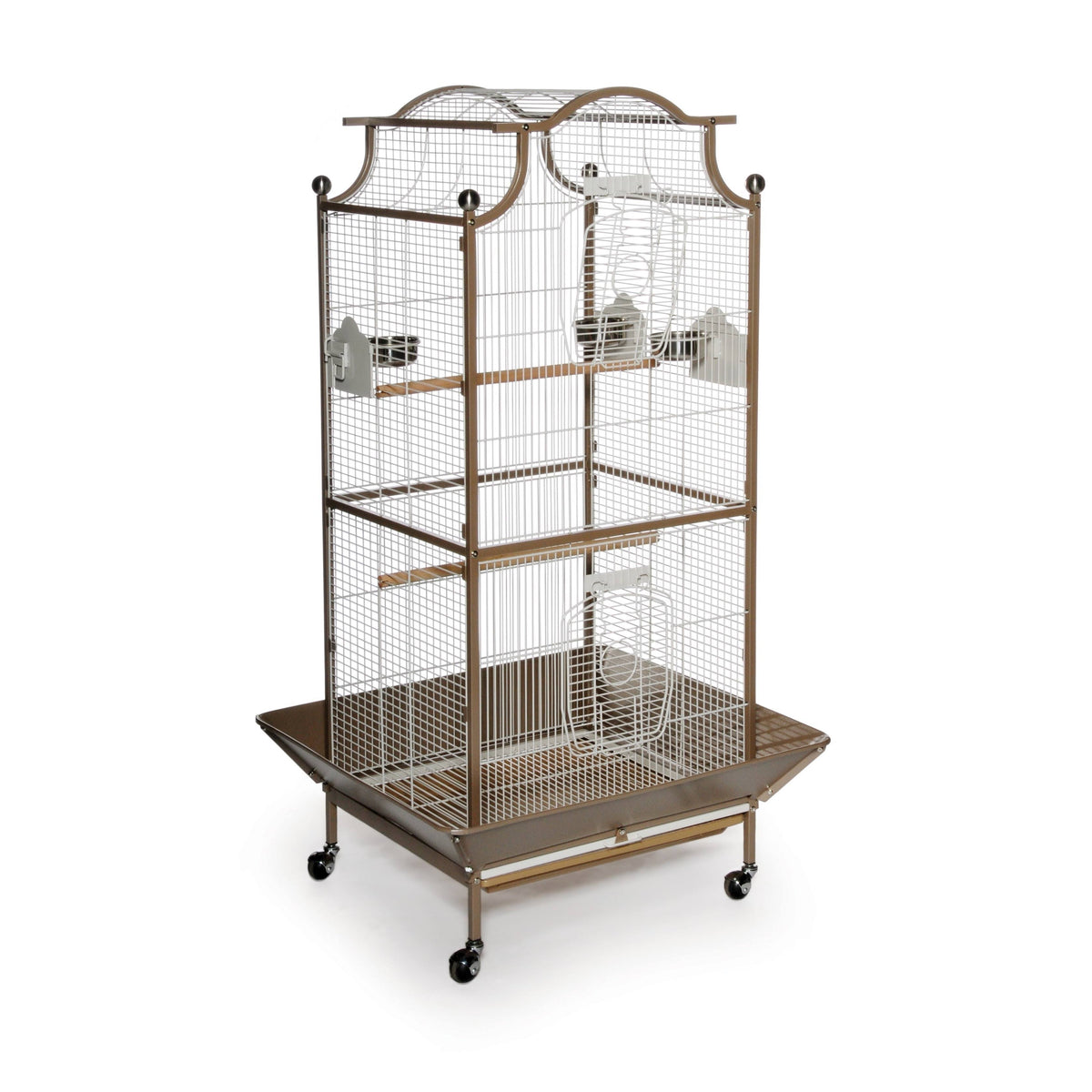 Bird Cage T368