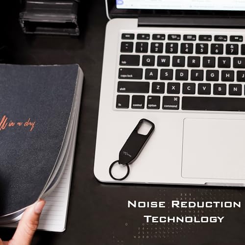 128GB Voice Recorder with Noise Reduction R2933