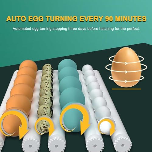 16 Egg Incubator with Automatic Egg Turning and Humidity Control H889