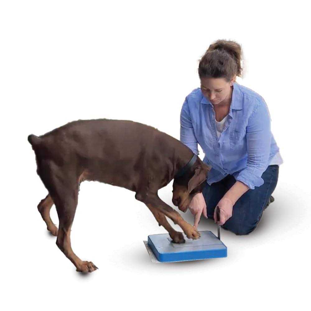 Dog Nail File Board D7477