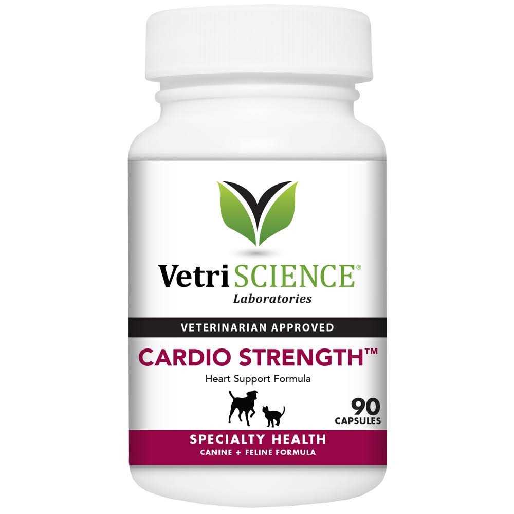 Cardio Strength K313391