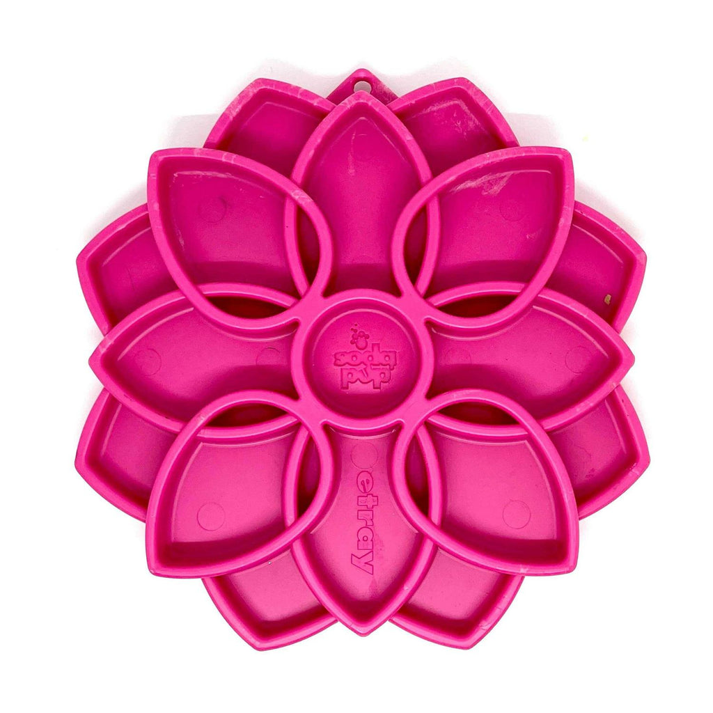 Mandala Design Enrichment Tray for Dogs C507569