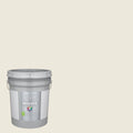 Interior Paint (5-Gallon) V497