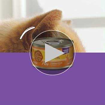 Seafood Pate Variety Pack Wet Cat Food M969