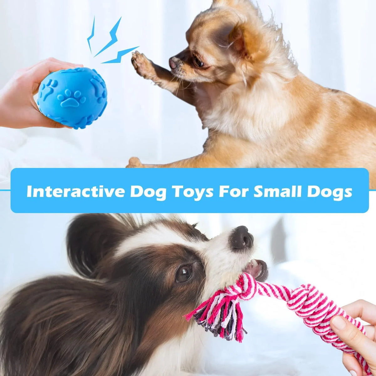 Puppy Teething Chew Toys Pack with Stuffed Squeaky Toys, Dog Ball, Ring Toy, Rope Toy G5347