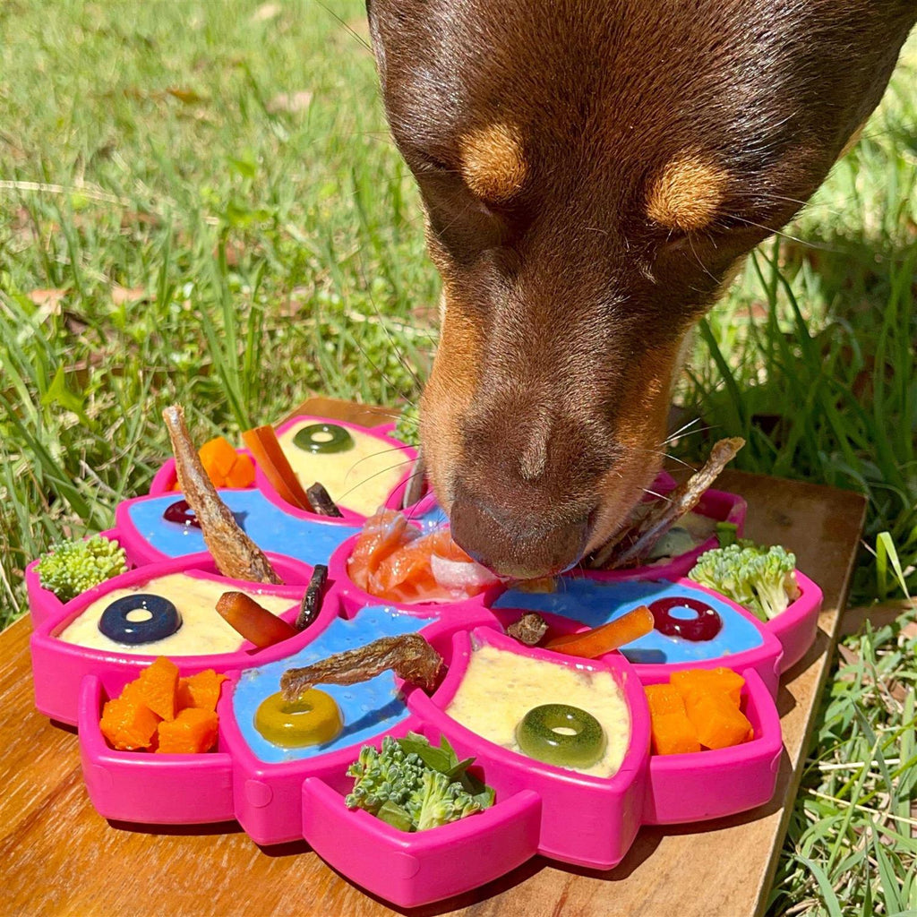 Mandala Design Enrichment Tray for Dogs C507569